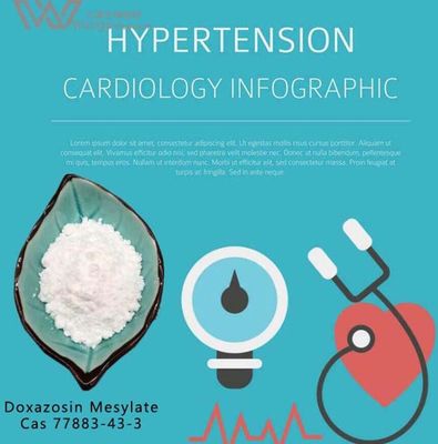 Icatibant API Active Pharmaceutical Ingredient 77883-43-3 Treat Hypertension