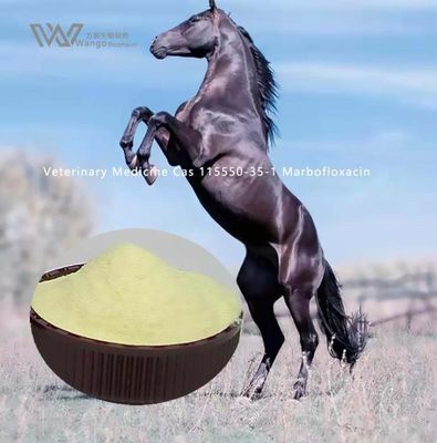 2000kg Marbofloxacin In Cats Treat Susceptible Bacteria Cas 115550-35-1