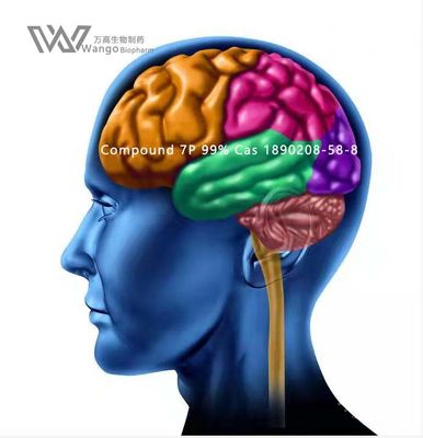 CAS 157115-85-0 Noopept GVS- 111 মস্তিষ্কের উন্নতির জন্য সাদা পাউডার