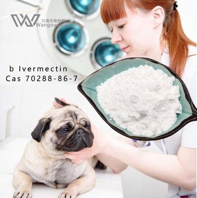 USP36 বিশুদ্ধ Ivermectin পাউডার, Mk933 পোষা প্রাণী এবং পশুচিকিত্সকের জন্য অ্যান্টি পরজীবী এজেন্ট