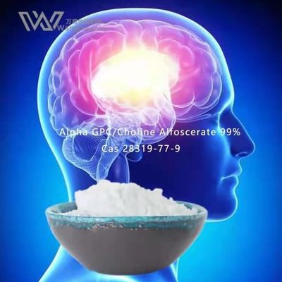 HPLC Nootropics বাল্ক পাউডার, আলফা Gpc Acetylcholine 28319-77-9
